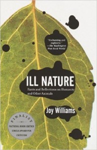 joy williams ill nature